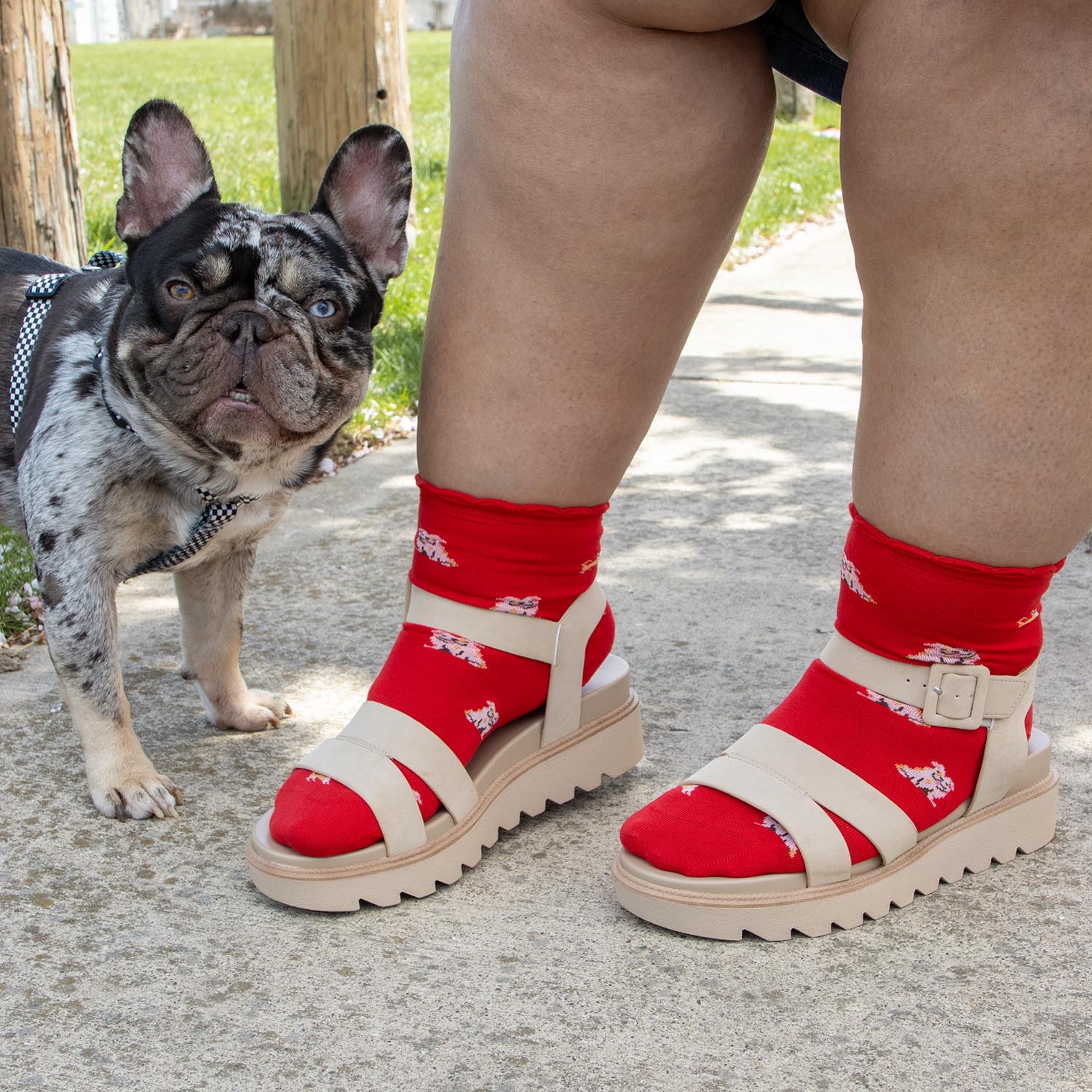 Ultimate Bamboo Ankle Socks - Woof - Image 13