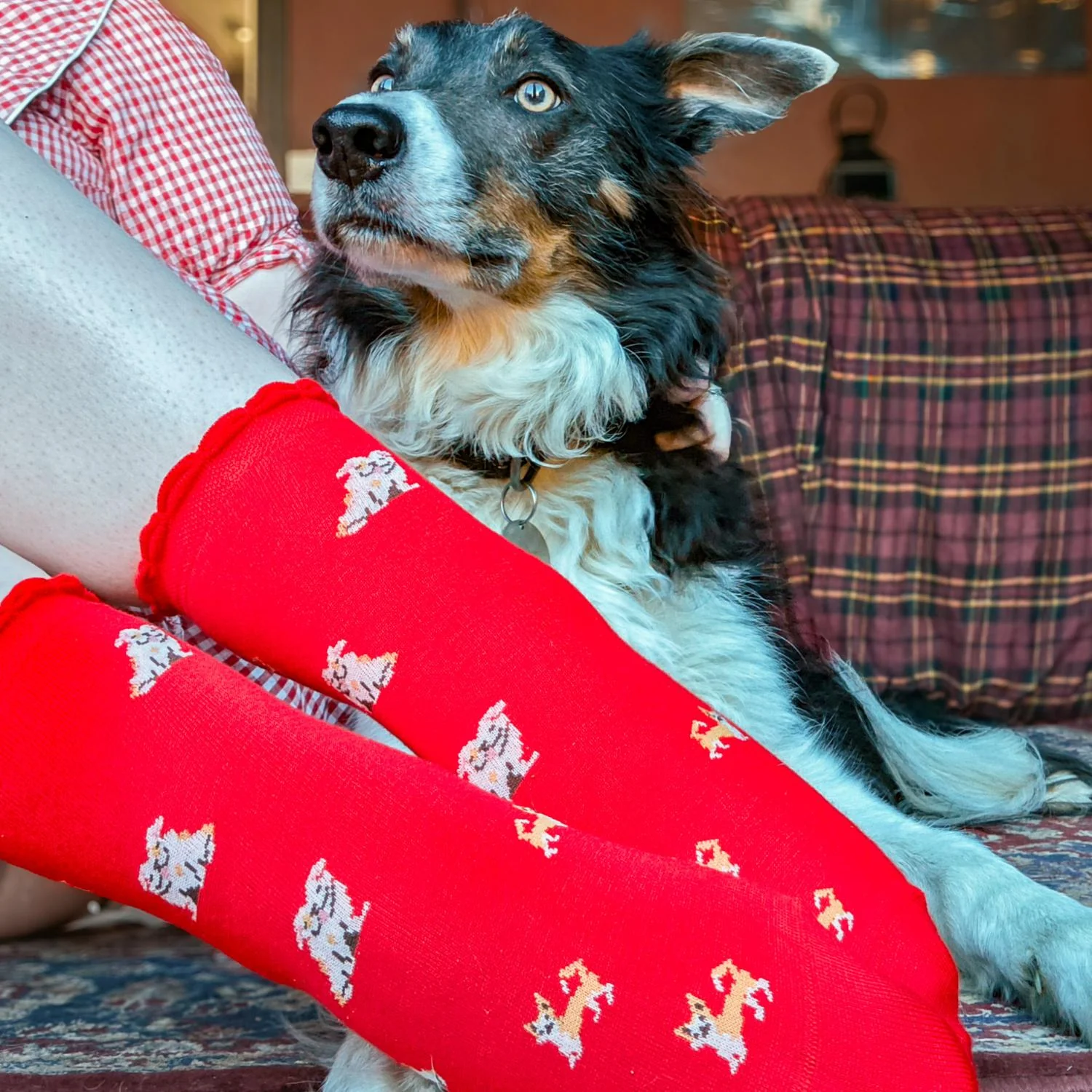 Ultimate Bamboo Ankle Socks - Woof - Image 14
